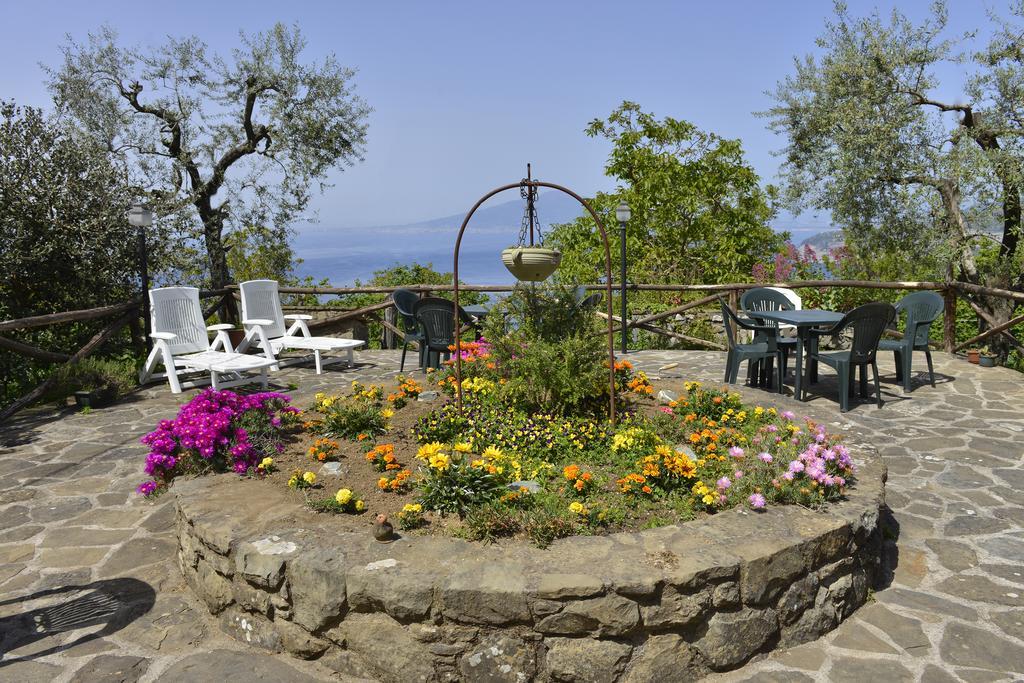 Maison d'hôtes Il Casale