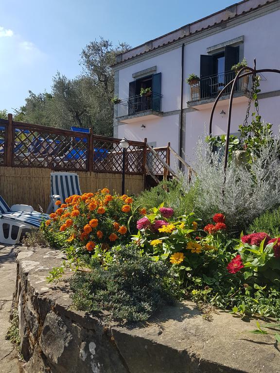Maison d'hôtes Il Casale