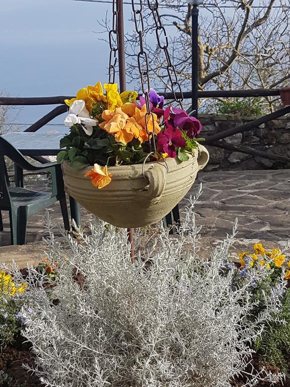 Il Casale Maison d'hôtes Sorrente